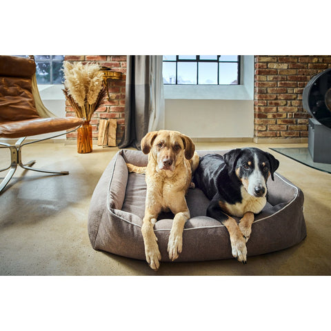 CLASSIC hondenbed - BUFFALO TAUPE