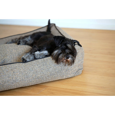 KLASSIEKE Hundebett - SCALA AMBER