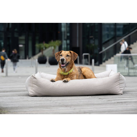 BUITEN Hundebett - GLADDE LINO