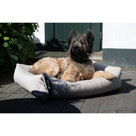 BUITEN Hundebett - GLADDE LINO