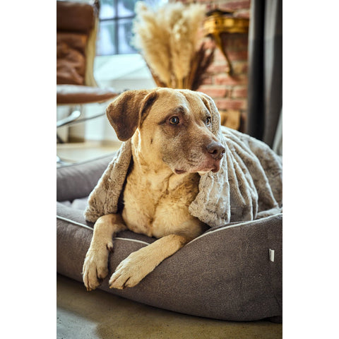 Deken COSY BEIGE - Elegante deken van imitatiebont