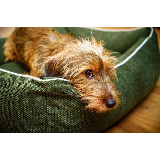 Ortho Dog Bett - Eco Olive