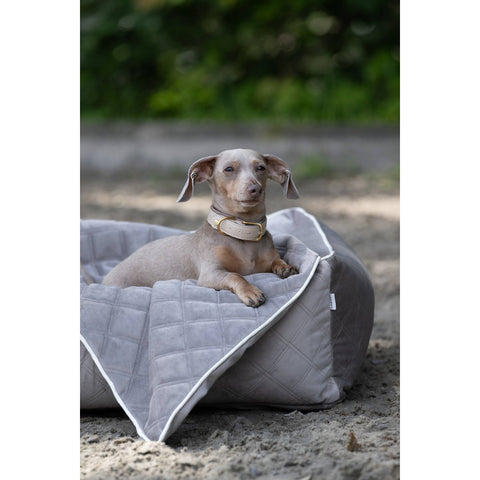 CLASSIC hondenbed - OXFORD TAUPE