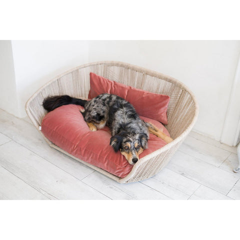 VOGUE - Design hondenmand OXFORD