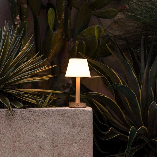 Zoë Lichtbruine Houten Oplaadbare Tafellamp | Dimbaar, USB-C, batterijduur van 80 uur