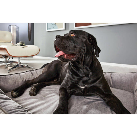 ORTHO hondenbed - GLAM SILVER