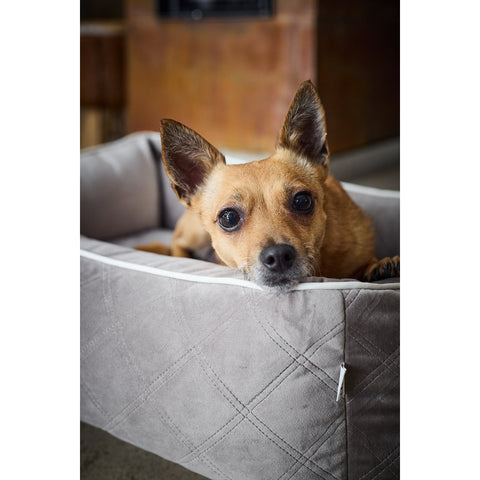 CLASSIC hondenbed - OXFORD TAUPE