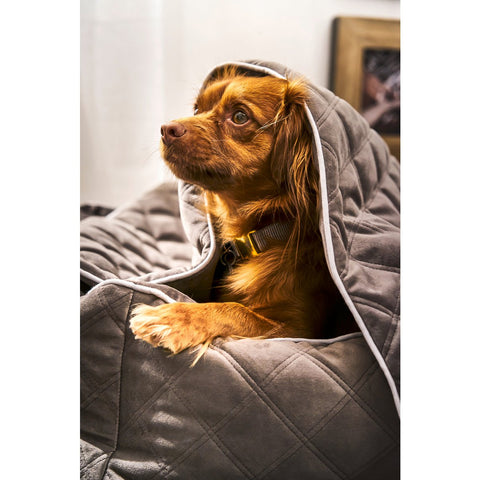 KLASSIEKE Hundebett - OXFORD STEEN