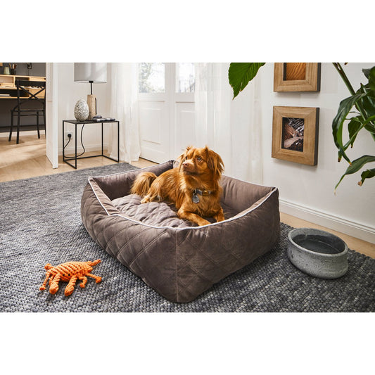 KLASSIEKE Hundebett - OXFORD STEEN