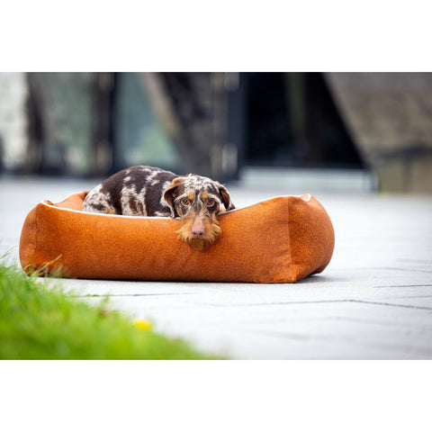 KLASSIEKE Hundebett - BUFFELKAMEEL
