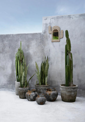 El Espejo de Concha de Cactus - Blanco