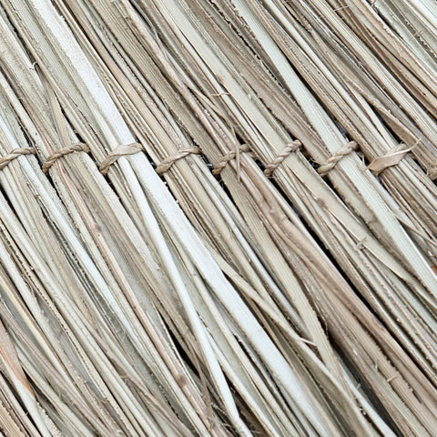 Le médaillon maléfique - Naturel