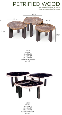 Salontafel Rudi Grey Versteend Hout Nikkel PTMD