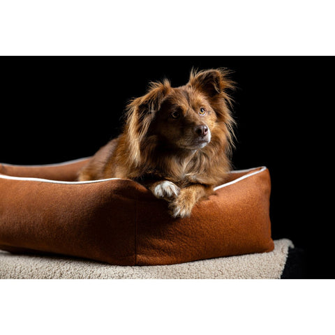 KLASSIEKE Hundebett - BUFFELKAMEEL