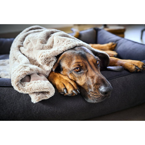 Deken COSY BEIGE - Elegante deken van imitatiebont