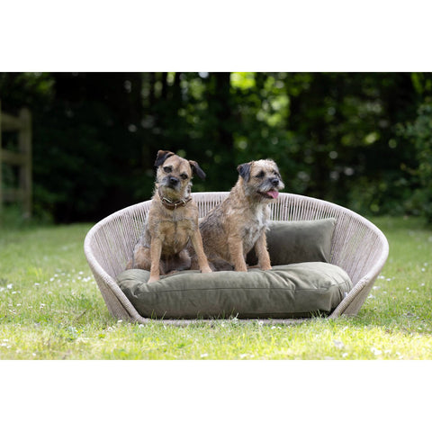 VOGUE - Design hondenmand OXFORD