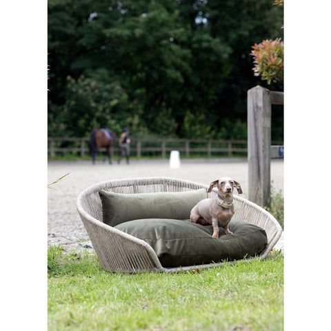 VOGUE - Design hondenmand OXFORD