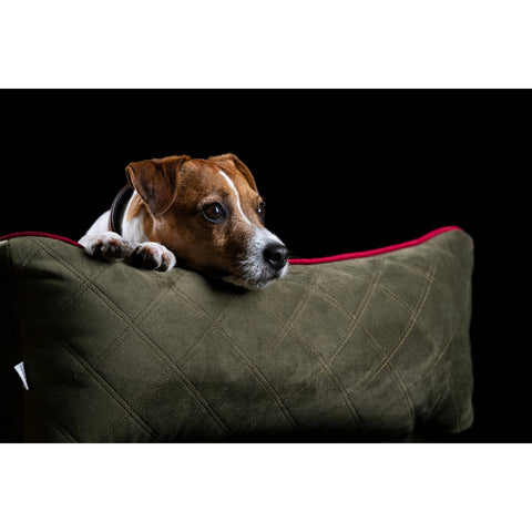 KLASSIEK hondenbed - OXFORD OLIVE