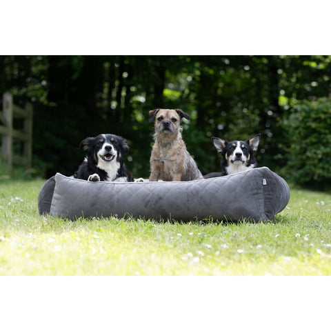 KLASSIEKE Hundebett - OXFORD STEEN