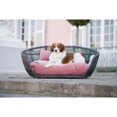 PRADO - OXFORD design hondenmand