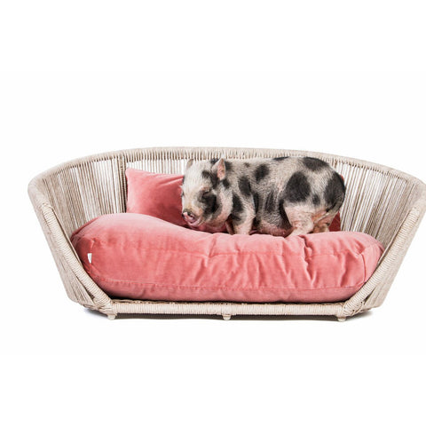 VOGUE - Design hondenmand OXFORD