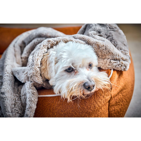 Deken COSY BEIGE - Elegante deken van imitatiebont