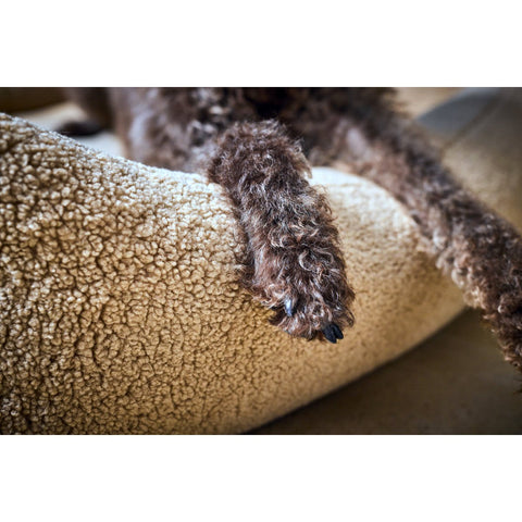 CLASSIC hondenbed - TEDDY CREAM
