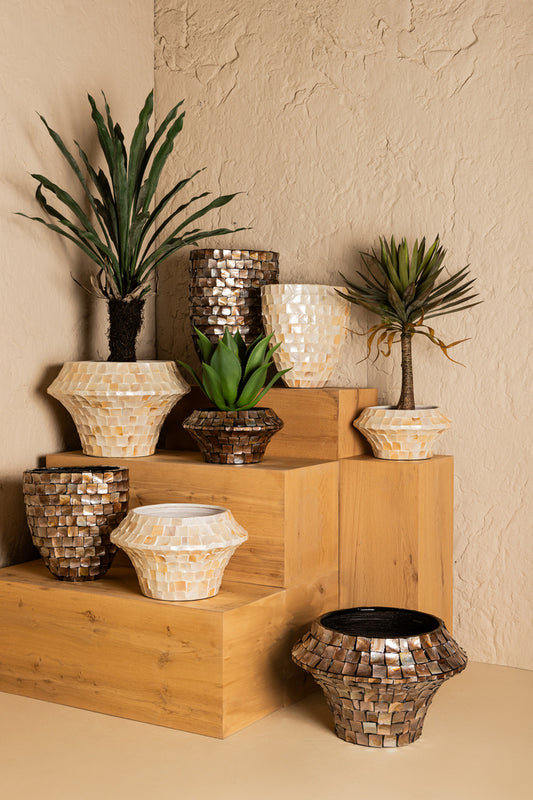 Daven Cream poly shell paper pot oval high L