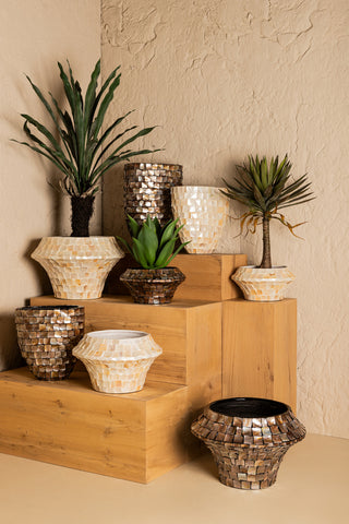 Daven Cream poly shell paper pot oval high L