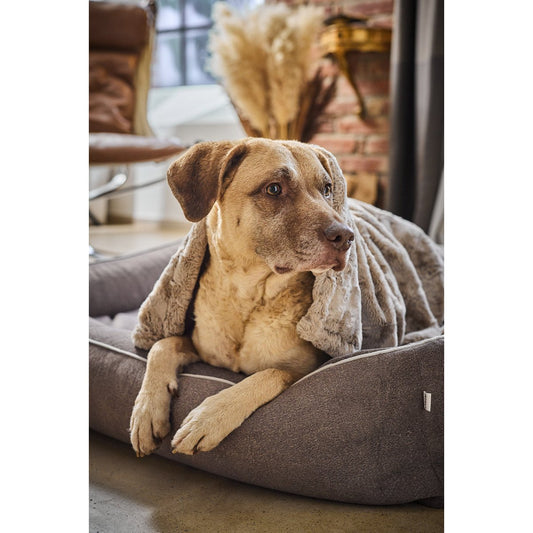 CLASSIC hondenbed - BUFFALO TAUPE