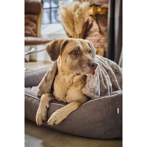 CLASSIC hondenbed - BUFFALO TAUPE