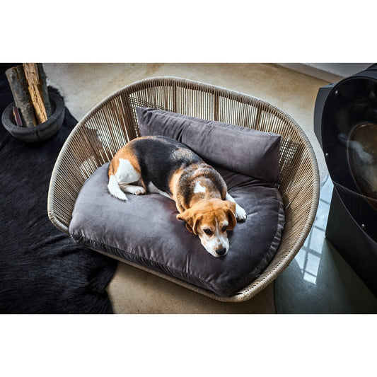 VOGUE - Design hondenmand OXFORD