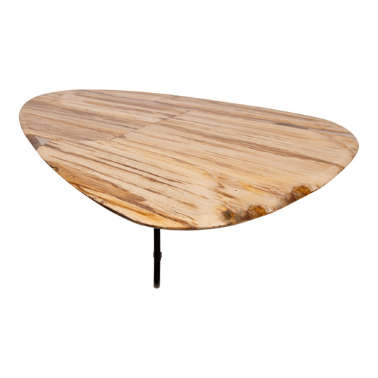 Deeba coffeetable petrified wood 130