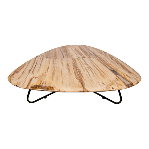 Deeba coffeetable petrified wood 130