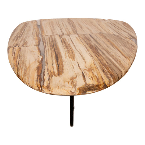 Deeba coffeetable petrified wood 130