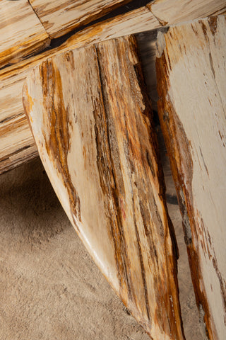 Deeba coffeetable petrified wood 95
