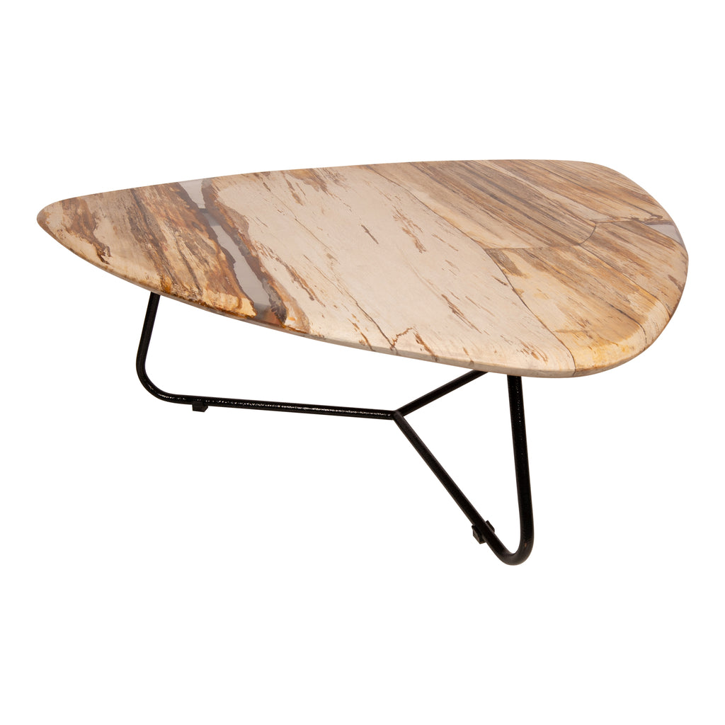 Deeba coffeetable petrified wood 95