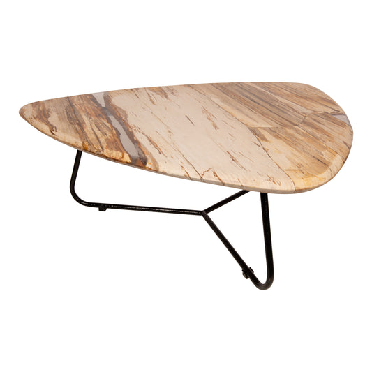 Deeba coffeetable petrified wood 95