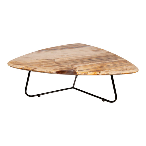 Deeba coffeetable petrified wood 95
