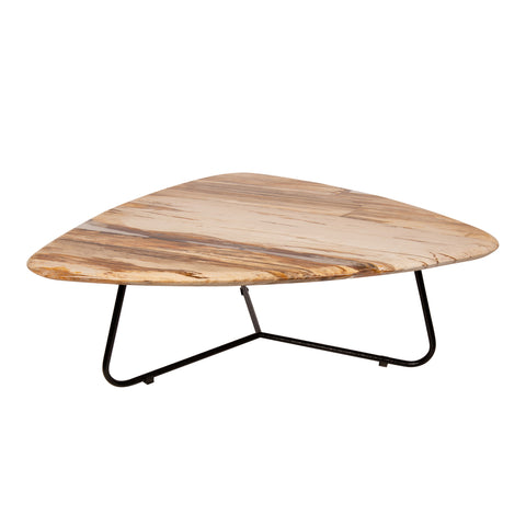 Deeba coffeetable petrified wood 95