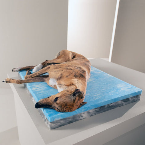 Ortho Dog Bett - Eco Olive