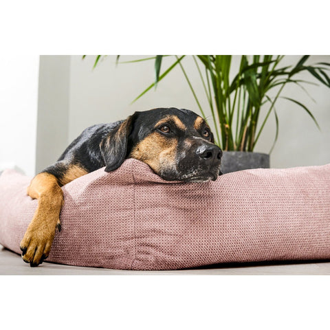 KLASSIEKE Hundebett - TUDOR ROSE