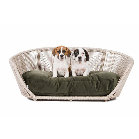 VOGUE - Design hondenmand OXFORD