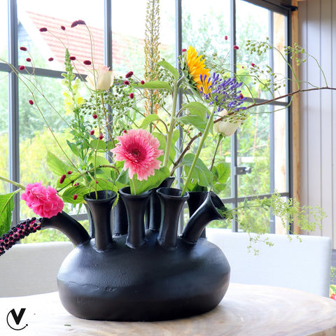 Vaas Assen black
