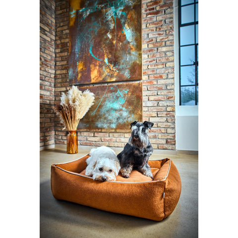 KLASSIEKE Hundebett - BUFFELKAMEEL