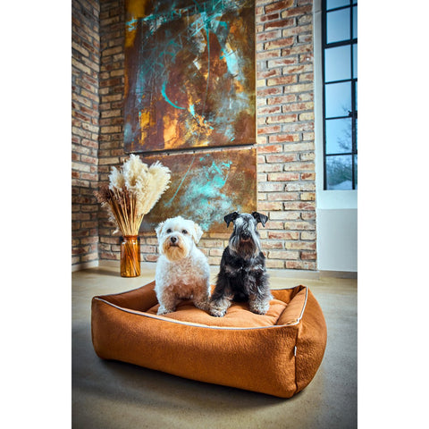 KLASSIEKE Hundebett - BUFFELKAMEEL
