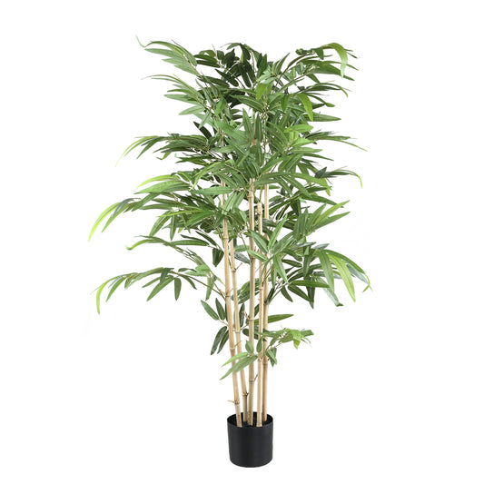 Hoja Planta planta de bambú con hojas en maceta negra