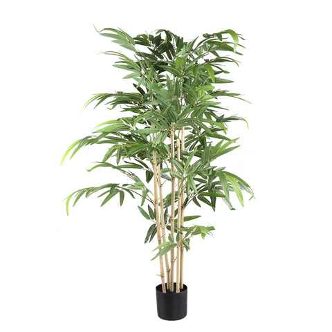 Hoja Planta planta de bambú con hojas en maceta negra