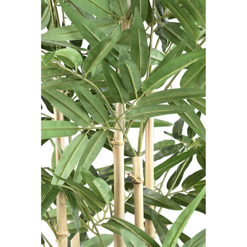 Hoja Planta planta de bambú con hojas en maceta negra