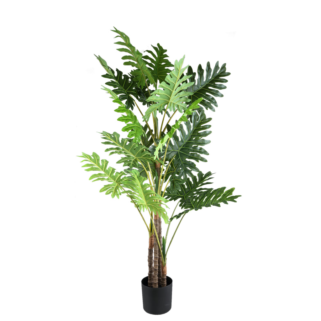 Hoja Planta verde filodendro en maceta negra L traducido a Solo.